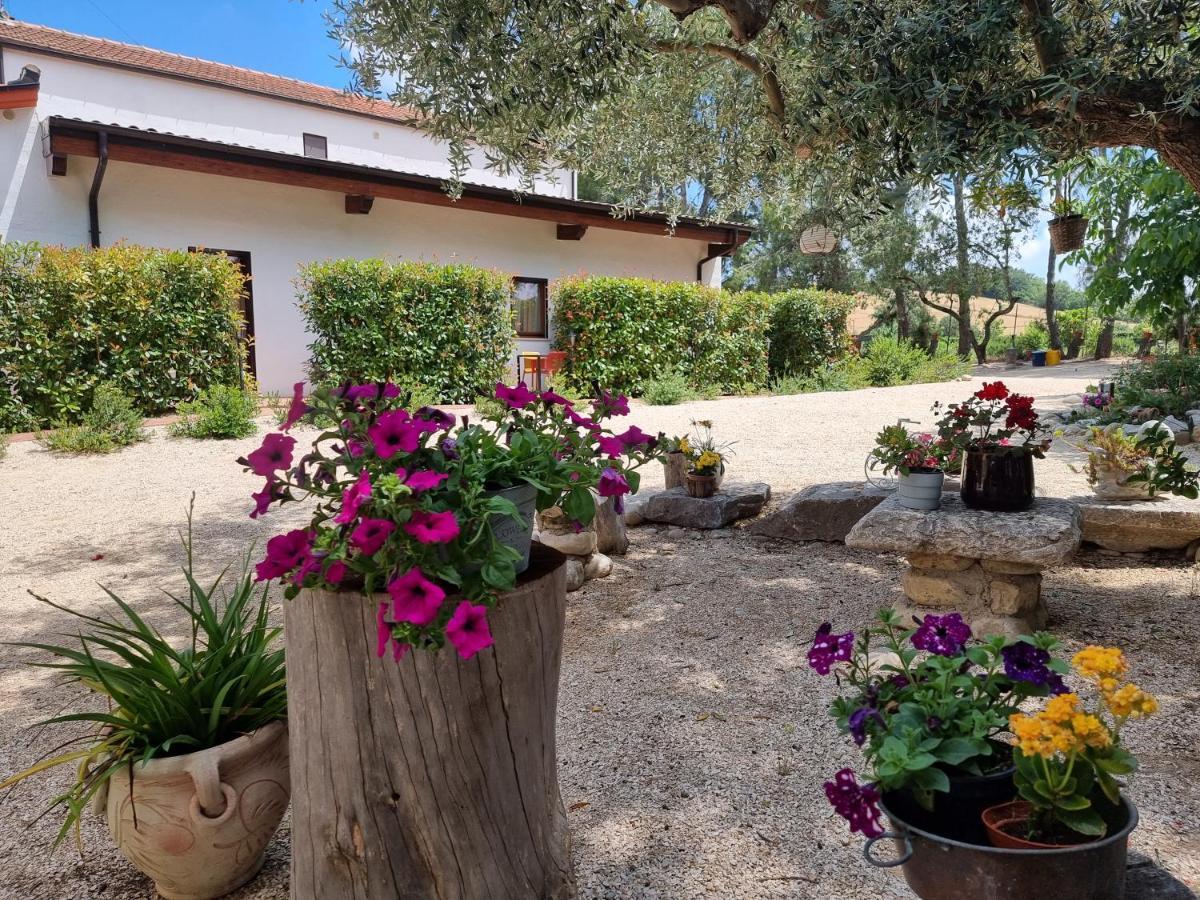 Agriturismo Essentia Dimora Rurale Larino Exterior foto