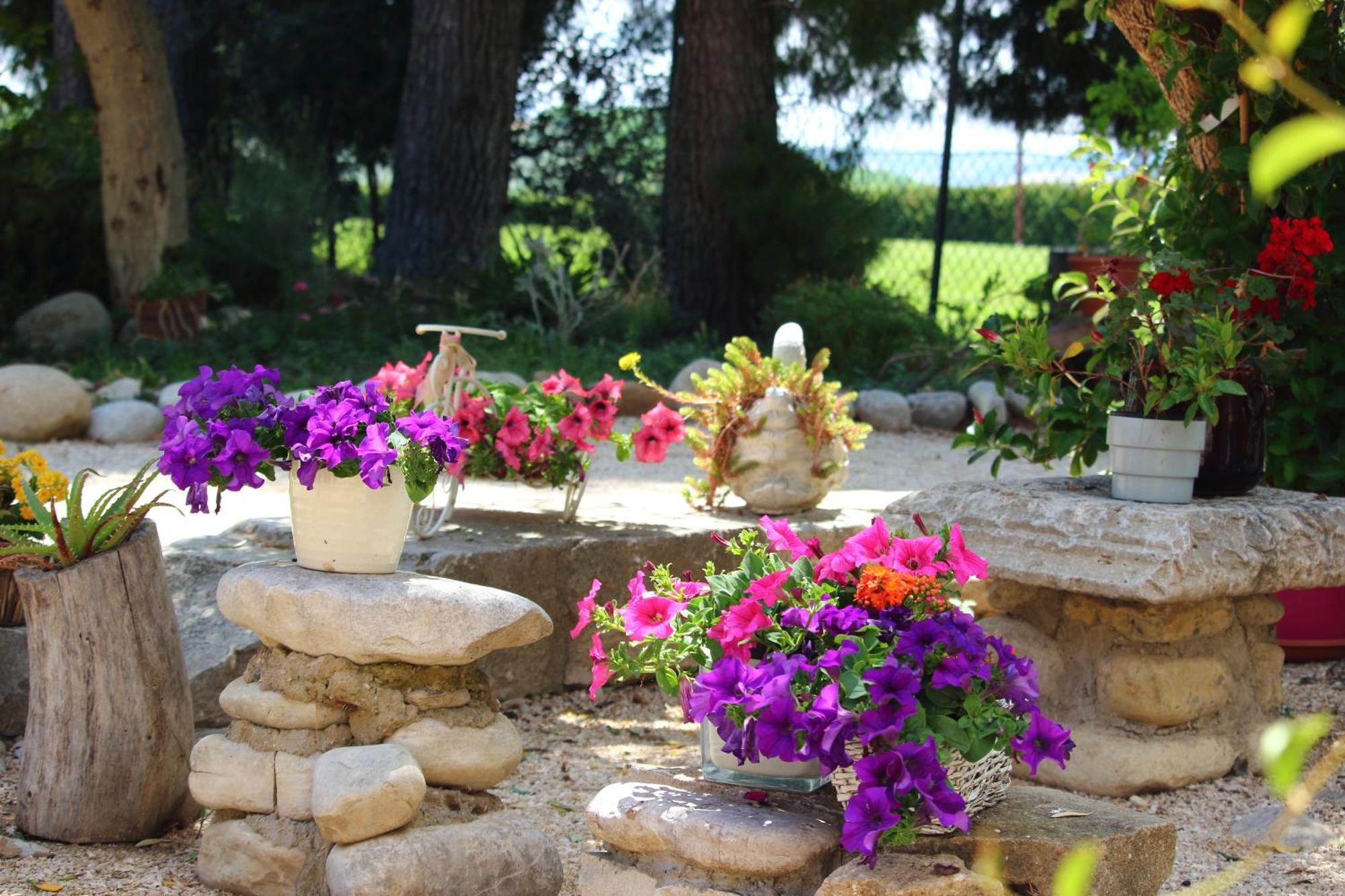 Agriturismo Essentia Dimora Rurale Larino Exterior foto