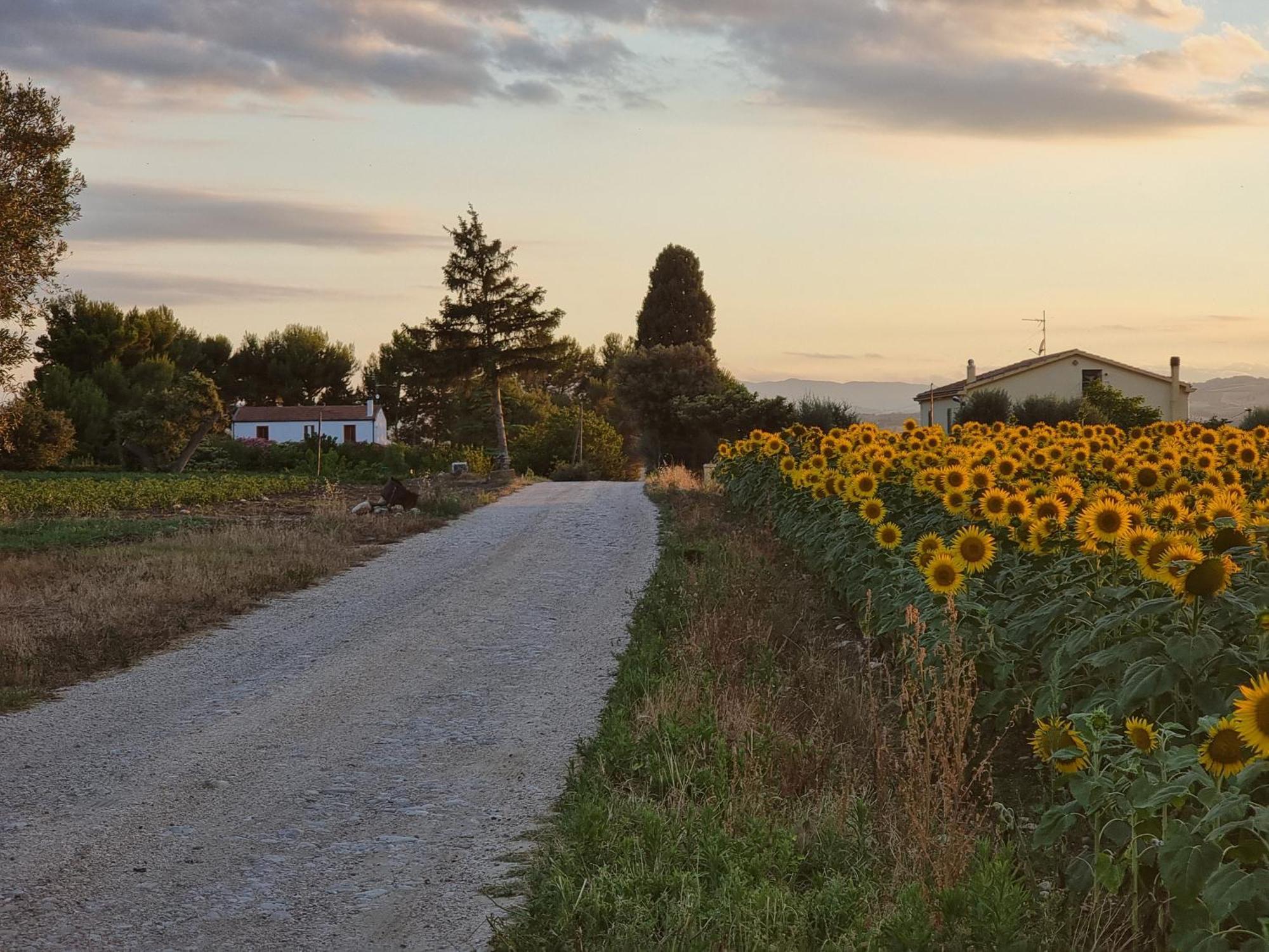 Agriturismo Essentia Dimora Rurale Larino Exterior foto